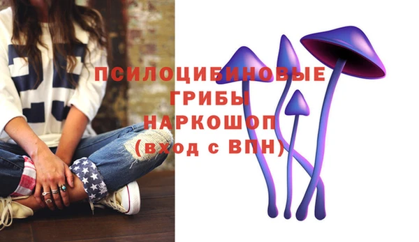 трава Новокубанск