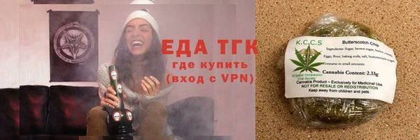эйфоретик Няндома