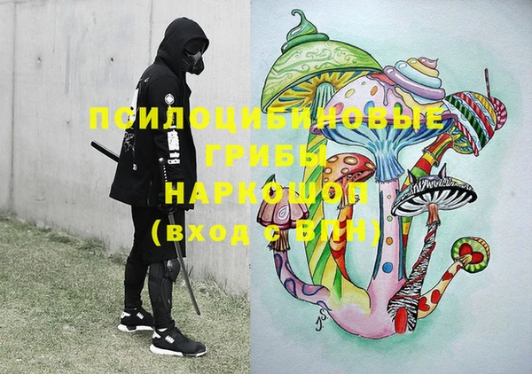 эйфоретик Няндома