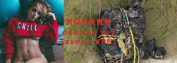 эйфоретик Няндома