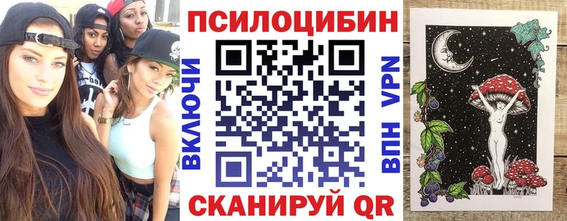 дарк нет состав Николаевск-на-Амуре Псилоцибиновые грибы мухоморы
